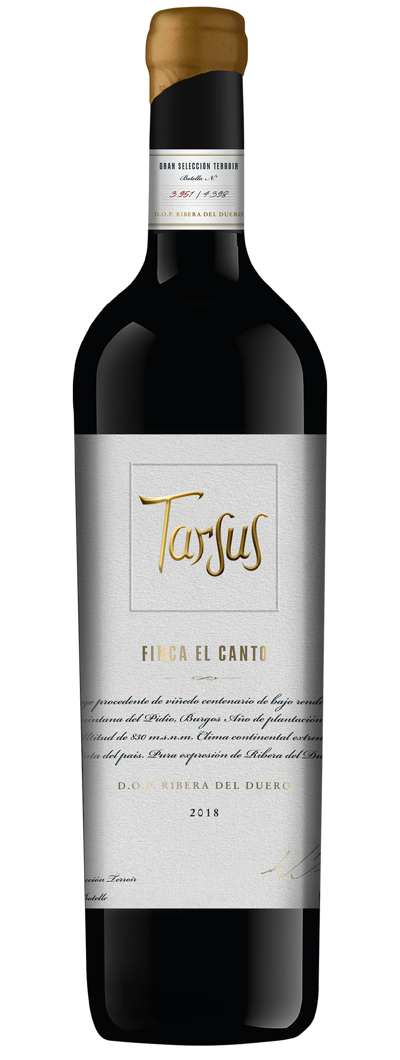 Vino Tarsus Finca Canto