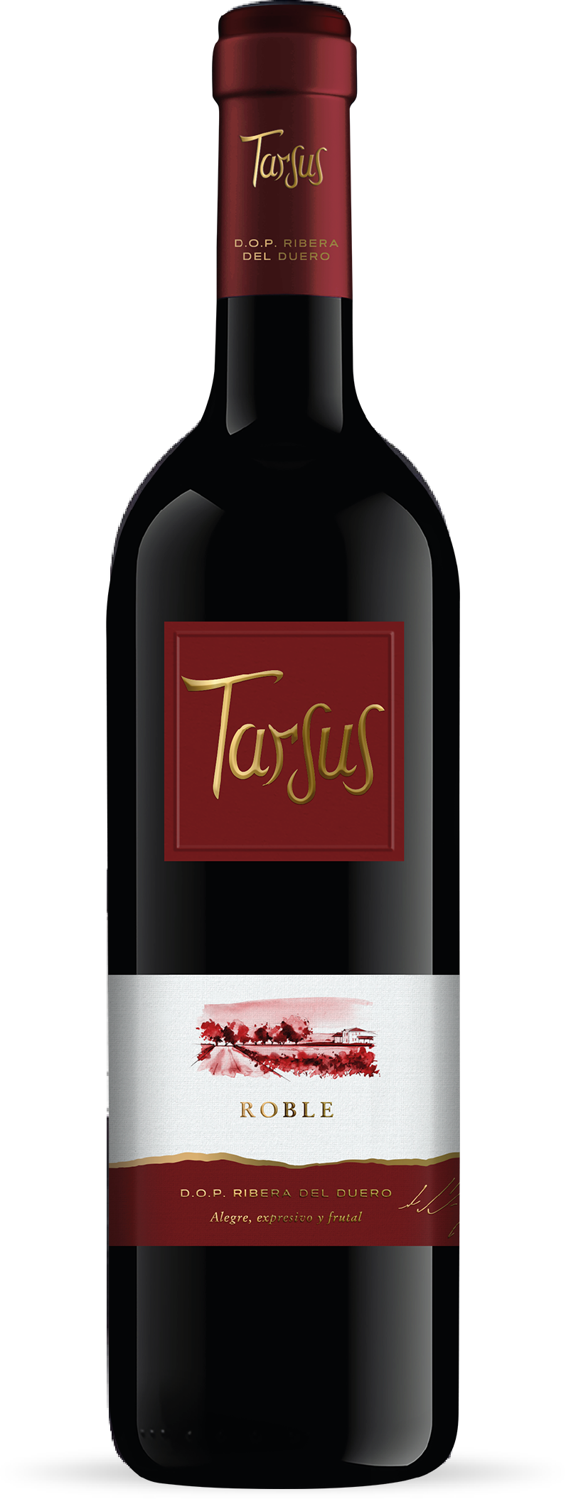 Vino Tarsus Roble